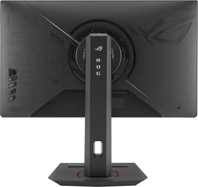 Asus 24,5